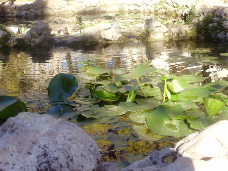 4eb31eea2bafb86bbe272c7665600922_21733.j