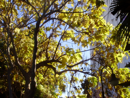 ac0cab94bd35e59489918b78f5d2b81c_21733.j