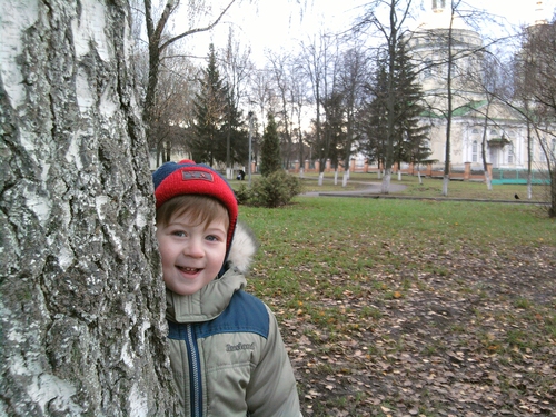 Картинка