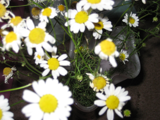 Наши злоключения по медицинскому заключению.