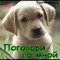Дашка Лобашка