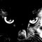 lucky_cat